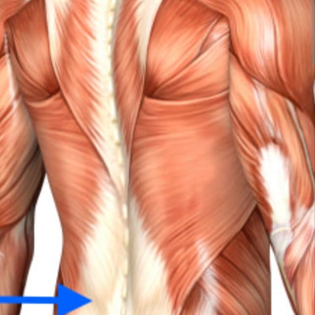 MYOFACIAL SAVE$55.        (3)90min at NEXT LEVEL HEALING, LLC. in Magnolia, TX
